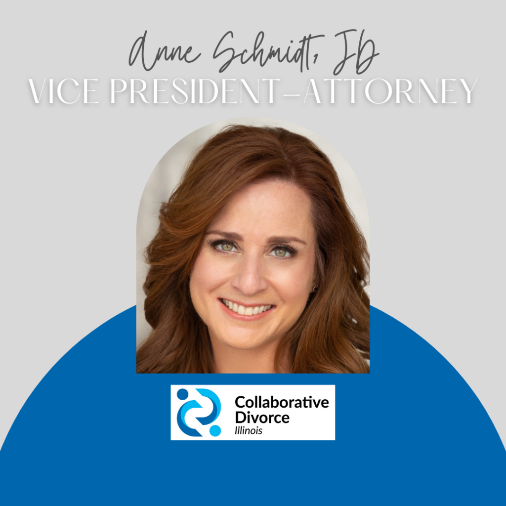 Collaborative Divorce Illinois | Anne Schmidt | CDI